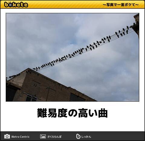 腹筋の弱い人は見ないでください サッと見て思いっきり笑えるボケて10選 19年1月13日 エキサイトニュース