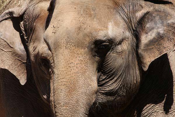 面白い雑学19選 披露するタイミングが難しいおもしろ雑学まとめ 21年3月18日 エキサイトニュース 面白い雑学19選 披露するタイミングが難しいおもしろ雑学まとめ 21年3月18日 エキサイトニュース
