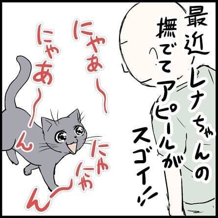 2匹のネコが繰り広げる ネコあるある を描いた漫画がおもしろい 19年5月日 エキサイトニュース