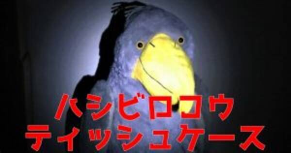 閲覧注意 オフィスに凶暴な野生動物を放つと大変なコトになる 19年5月28日 エキサイトニュース