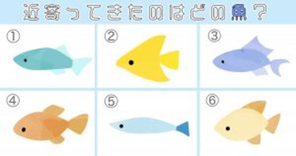 心理テスト 魚を選ぶと あなたの性格を表す色 がわかります 年4月24日 エキサイトニュース