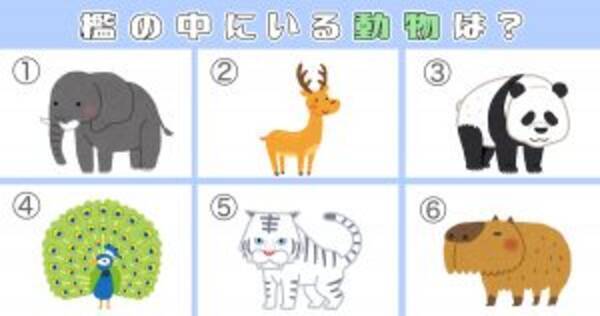 心理テスト 檻の中の動物は あなたの隠したがっている 欲求 です 年5月2日 エキサイトニュース