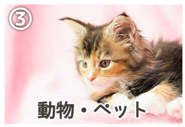 心理テスト パソコンの壁紙でわかる あなたの性格の ツンデレ比率 年6月23日 エキサイトニュース