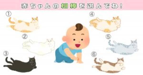 心理テスト 猫を選ぶと あなたの性格 甘え上手レベル がわかります 2020年7月5日 エキサイトニュース