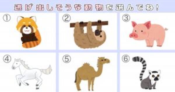 心理テスト この中で一番脱走しそうな動物は アニマル性格診断 年7月14日 エキサイトニュース
