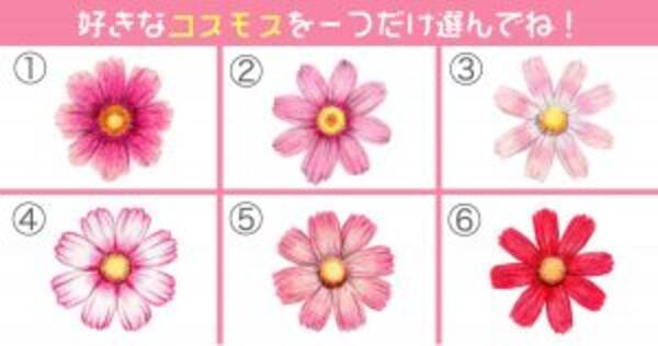 心理テスト 好きなコスモスの花で あなたの 性格 がわかります 年8月5日 エキサイトニュース