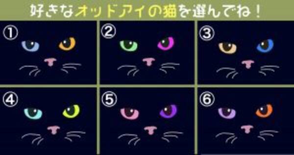 心理テスト オッドアイの猫が暴く あなたの性格の ミステリアス度 年8月7日 エキサイトニュース