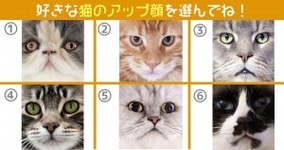 最も好ましい ディズニー 猫 キャラ ランキング 最高の新しい壁紙aahd