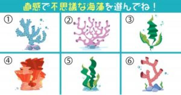 心理テスト フシギな海藻で あなたが今 迷っている二択 を暴きます 年10月10日 エキサイトニュース