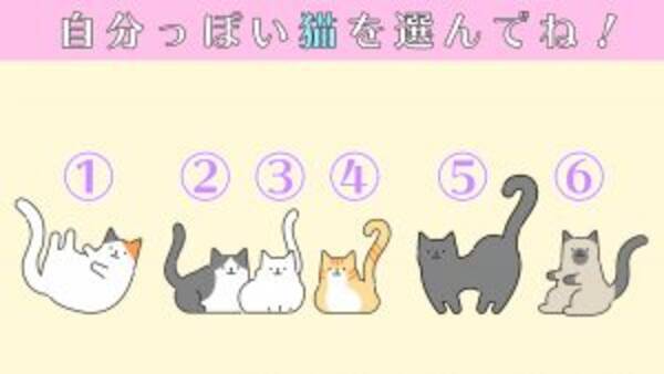 心理テスト 自分っぽい猫を選ぶと あなたの性格の 甘え上手レベル が判明 年12月25日 エキサイトニュース