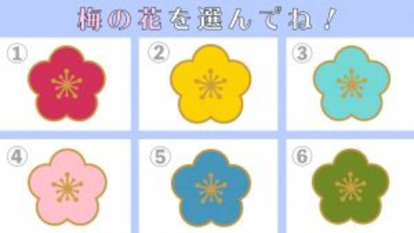 心理テスト あなたの性格は ハイor ロー テンション 梅の花で診断 21年1月12日 エキサイトニュース 心理テスト あなたの性格は ハイor ロー テンション 梅の花で診断 21年1月12日 エキサイトニュース