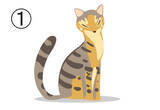 「【心理テスト】近寄ってみたい猫を選ぶと、あなたの「天の邪鬼度」がわかります」の画像3