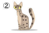 「【心理テスト】近寄ってみたい猫を選ぶと、あなたの「天の邪鬼度」がわかります」の画像4
