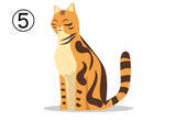 「【心理テスト】近寄ってみたい猫を選ぶと、あなたの「天の邪鬼度」がわかります」の画像7