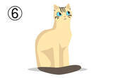 「【心理テスト】近寄ってみたい猫を選ぶと、あなたの「天の邪鬼度」がわかります」の画像8