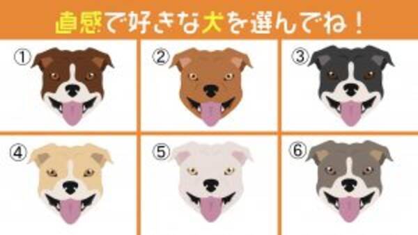 心理テスト 好きな犬を選ぶとわかる あなたの言葉は 直球 マイルド 21年1月日 エキサイトニュース