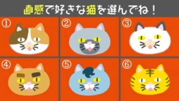 心理テスト 選んだ猫から あなたの 好きなお菓子 を当てます 21年1月26日 エキサイトニュース