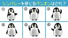 彼女は渡さない インコがアヒルのおもちゃに激しくジェラシーを燃やす 動画 21年2月9日 エキサイトニュース