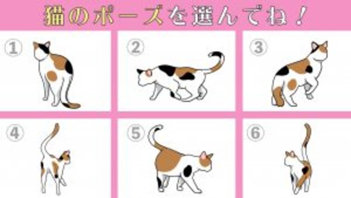 心理テスト 魅力的だと思う 猫のポーズ で あなたの性格を診断 21年2月14日 エキサイトニュース