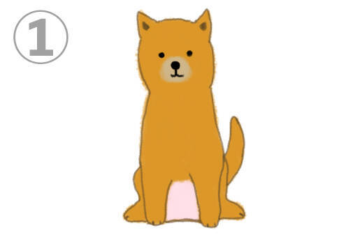 心理テスト あなたは 好きな人を前にすると どんな性格 柴犬テスト 21年2月23日 エキサイトニュース