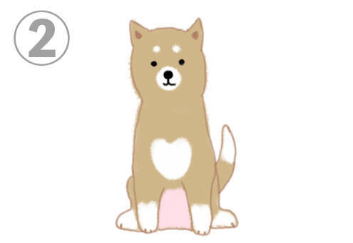心理テスト あなたは 好きな人を前にすると どんな性格 柴犬テスト 21年2月23日 エキサイトニュース