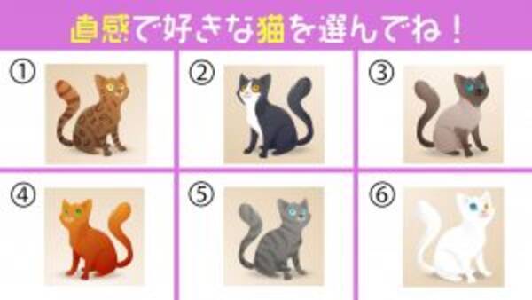 心理テスト 猫で診断 あなたの 負けず嫌い度 はどのくらい 21年2月26日 エキサイトニュース