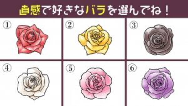 心理テスト あなたの性格の 一途さ はどれくらい 好みなバラを選んでね 21年3月13日 エキサイトニュース