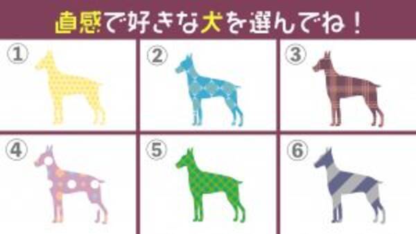 心理テスト 選んだ犬のカラーが暴く あなたの性格 は 21年3月15日 エキサイトニュース