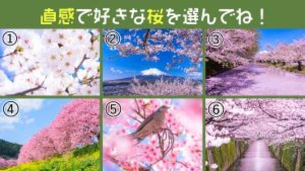 心理テスト 春の桜で あなたが注目を集めたがってるか 深層心理を暴きます 21年3月15日 エキサイトニュース