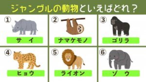 心理テスト 選んだ動物が象徴する あなたの 隠れた才能 21年4月13日 エキサイトニュース