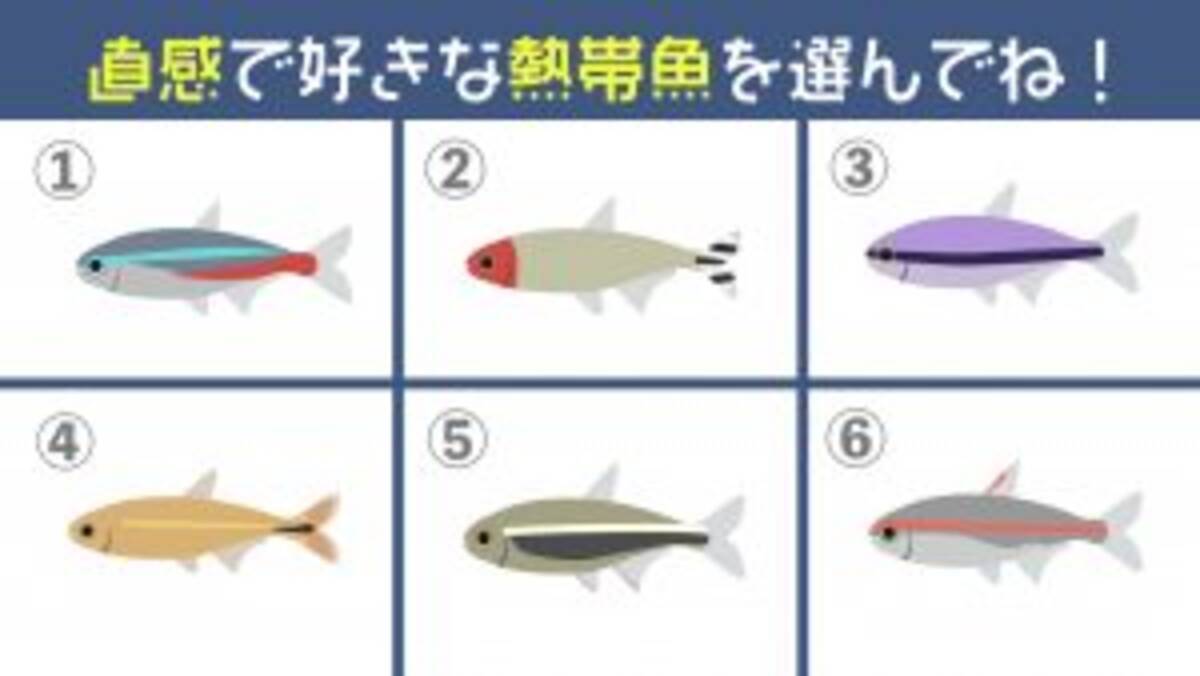 心理テスト あなたの 性格傾向 を解明 飼いたい熱帯魚を選んでね 21年5月19日 エキサイトニュース