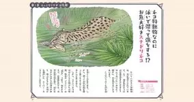 もっとやりすぎ いきもの図鑑 第5話 世界最小のほ乳類 トウキョウトガリネズミ 21年7月5日 エキサイトニュース