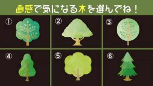 心理テスト 選んだ巨木が象徴する あなたの 信念の強さ 21年6月10日 エキサイトニュース