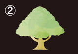「【心理テスト】選んだ巨木が象徴する、あなたの「信念の強さ」」の画像4