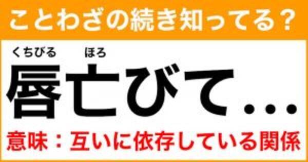 ことわざ 唇亡 ほろ びて の続き知ってる 意味 お互いに依存している関係 21年7月16日 エキサイトニュース