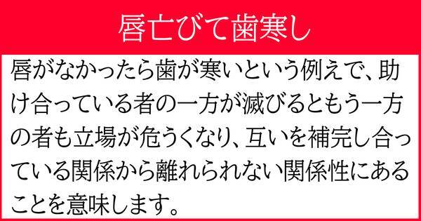 ただの意味であることを意味する19人の自炊用動物 ただの意味であることを意味する19人の自炊用動物 Jpsquirrel Photo Blog おもしろネコちゃん 動物 ネコ