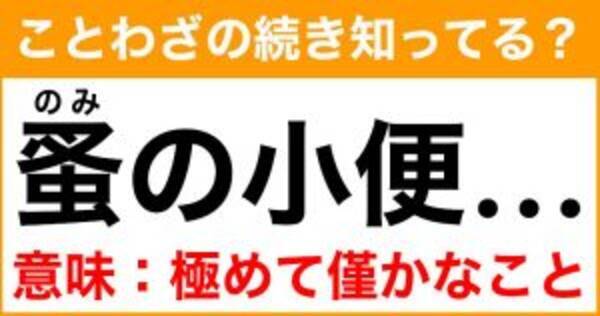 ことわざ 蚤の小便 の続き知ってる 意味 極めて僅かなこと 21年8月11日 エキサイトニュース