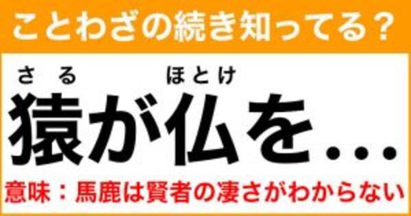 ことわざ 猿が仏を の続き知ってる 意味 バカは賢者の凄さがわからない 21年8月15日 エキサイトニュース