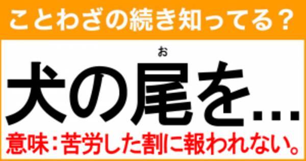 ことわざ 犬の尾を の続き知ってる 意味 苦労した割に報われない 21年8月22日 エキサイトニュース