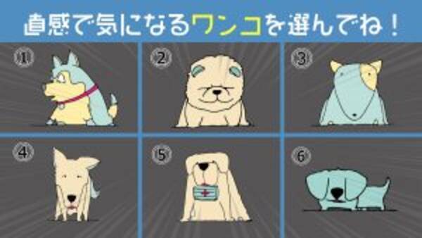 心理テスト 選んだワンコで あなたにとっての 他人からの評価 の重要度を診断します 21年9月2日 エキサイトニュース