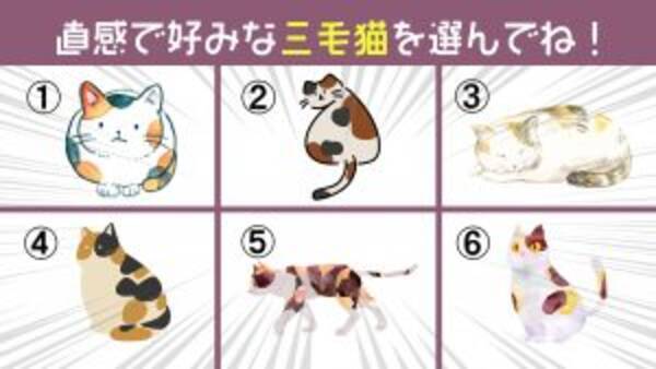 心理テスト 三毛猫を選んで性格診断 あなたの私生活の ミステリアス度の高さ が判ります 21年11月24日 エキサイトニュース