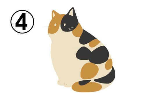 心理テスト 三毛猫を選んで性格診断 あなたの私生活の ミステリアス度の高さ が判ります 21年11月24日 エキサイトニュース