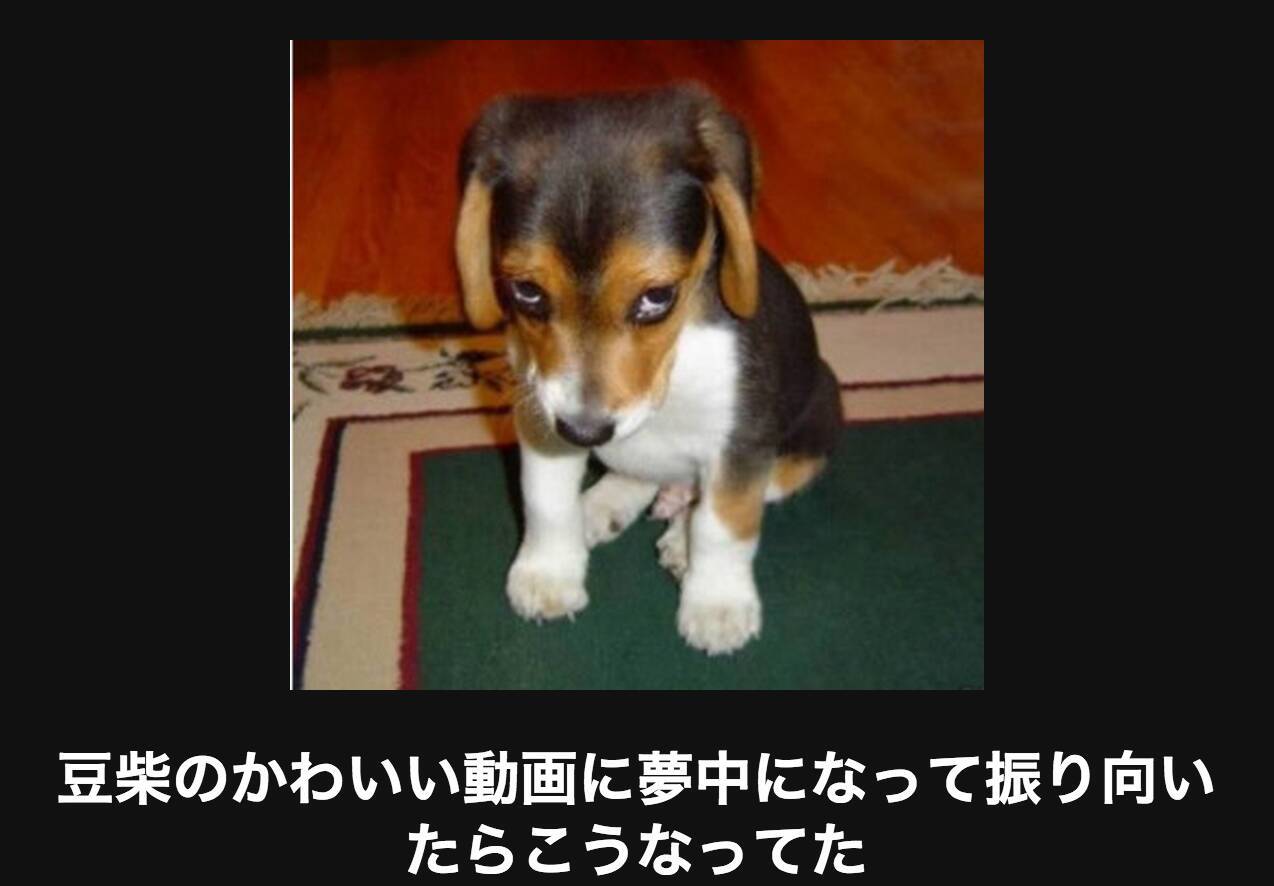 キケン注意 笑わずにはいられない犬の画像大喜利14選 15年3月25日 エキサイトニュース