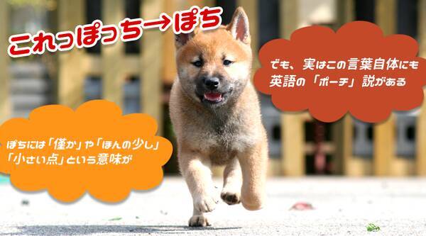 ポチの由来 なぜ犬の名前が ポチ なのか ネコでもわかる解説 15年3月9日 エキサイトニュース