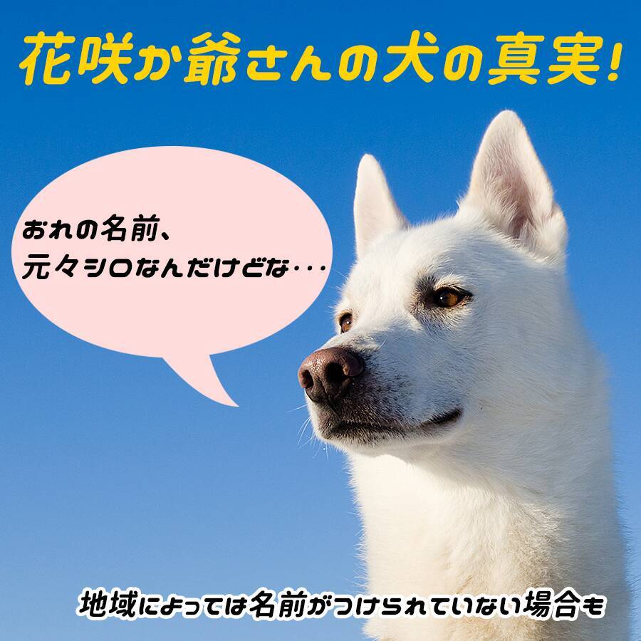 ポチの由来 なぜ犬の名前が ポチ なのか ネコでもわかる解説 15年3月9日 エキサイトニュース