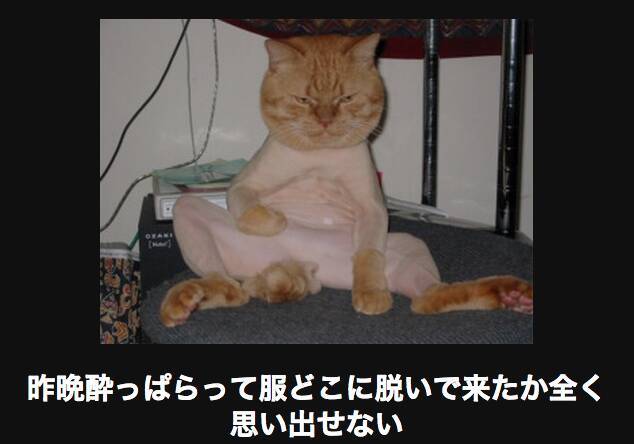 キケン注意 可愛いくて笑えるネコの画像大喜利選 15年5月10日 エキサイトニュース