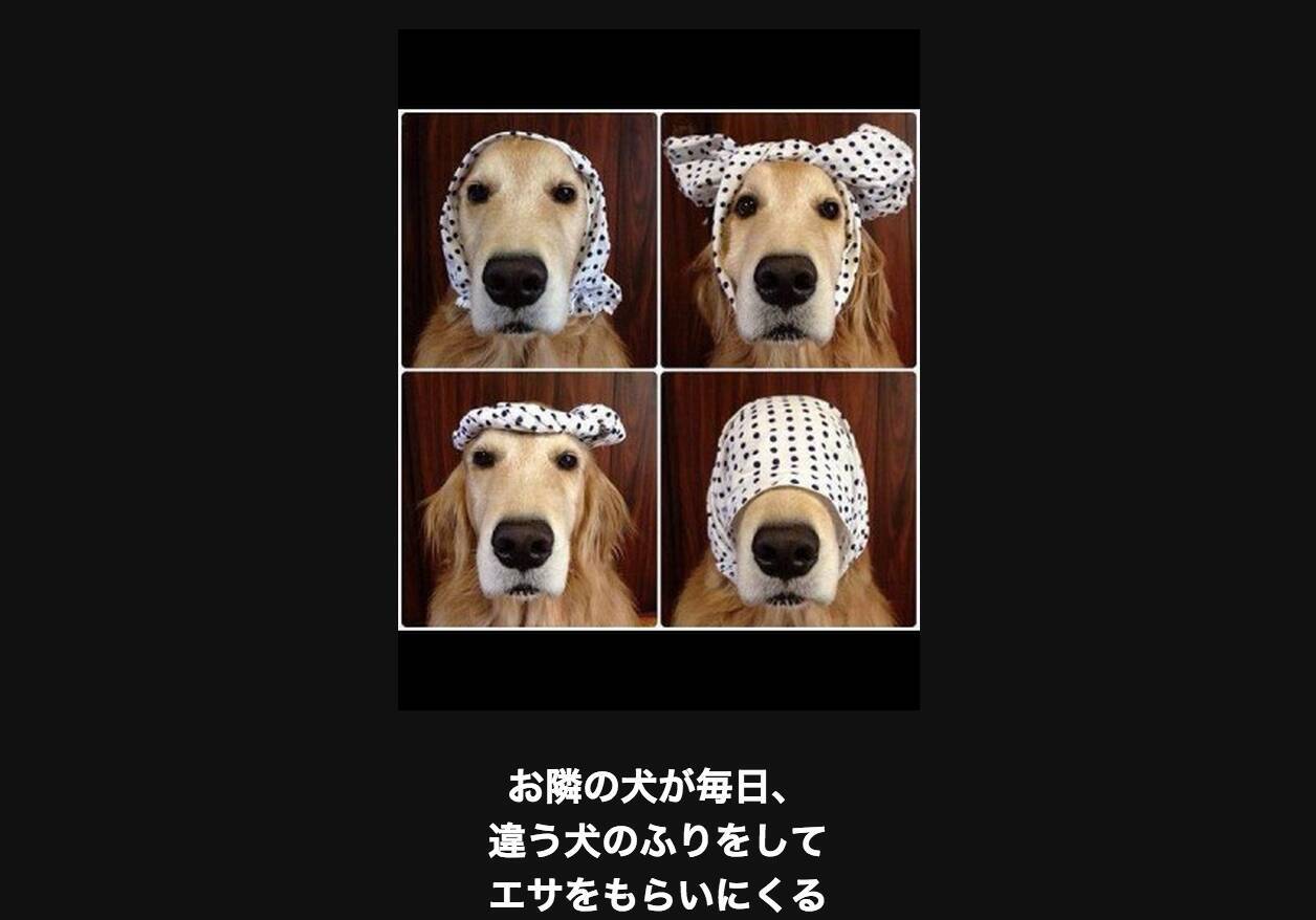 犬 ご主人を笑わせたい 見なきゃ損損ワンコの大喜利18選 15年5月17日 エキサイトニュース