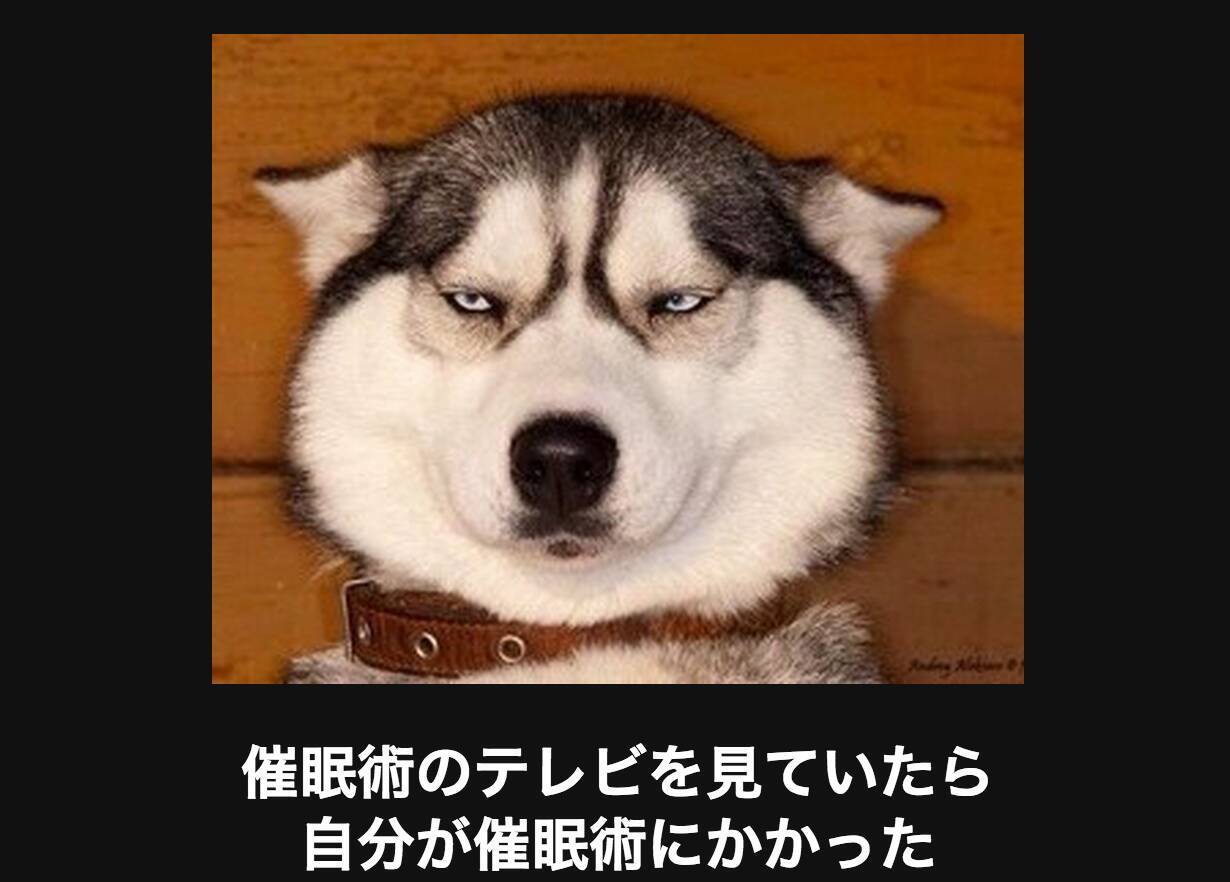 犬 ご主人を笑わせたい 見なきゃ損損ワンコの大喜利18選 15年5月17日 エキサイトニュース