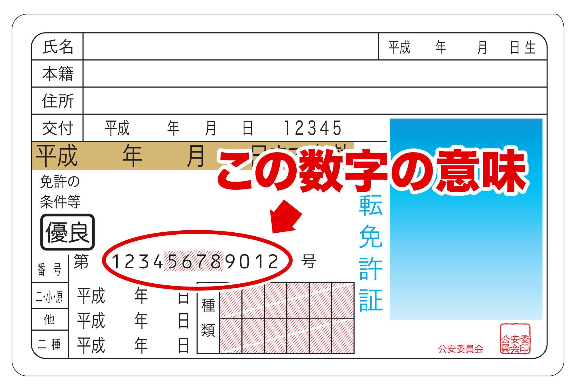 こんなヒミツがあったなんて 免許証の12桁の数字 にはいろんな意味が隠されていた 2015年6月6日 エキサイトニュース