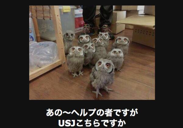 爆笑注意報 笑えて元気が出るアニマル画像大喜利18選 15年6月9日 エキサイトニュース